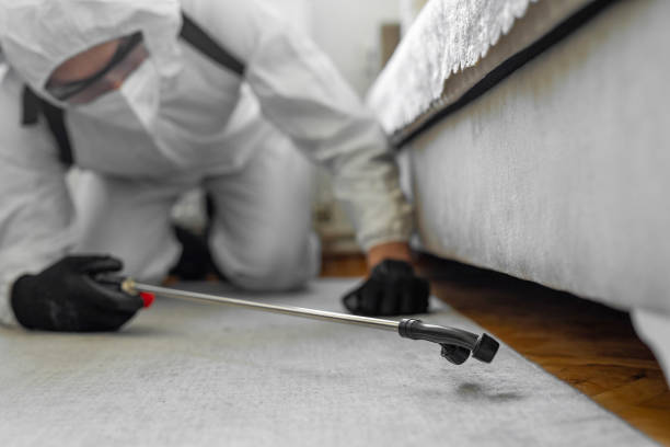 Professional Termite Control technician working in Paulding County County, OH